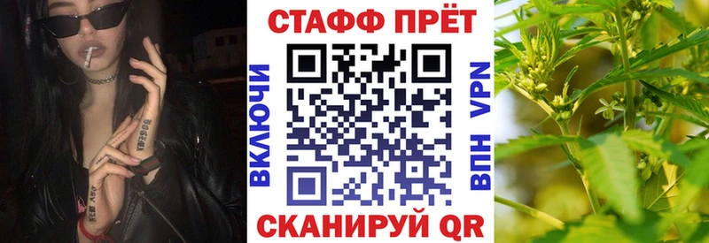 Альфа ПВП Западная Двина