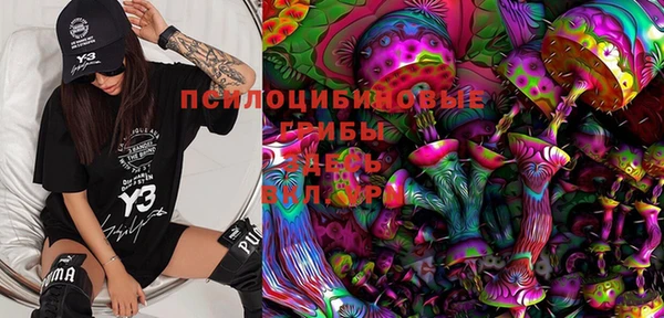 стафф Елабуга