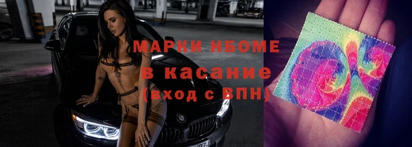 молекула духа Ельня