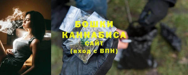молекула духа Ельня