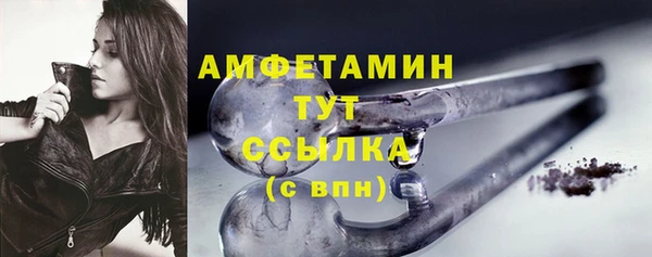 молекула духа Ельня