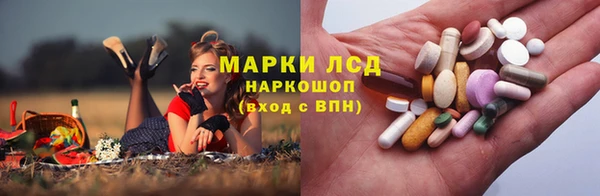 молекула духа Ельня