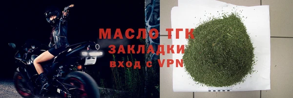 молекула духа Ельня