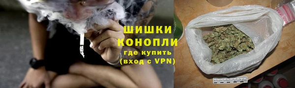 молекула духа Ельня