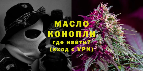 молекула духа Ельня