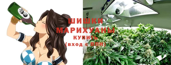 молекула духа Ельня