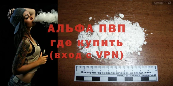 молекула духа Ельня