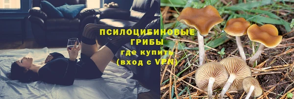 мяу мяу кристалл Елизово