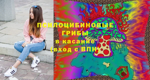 стафф Елабуга
