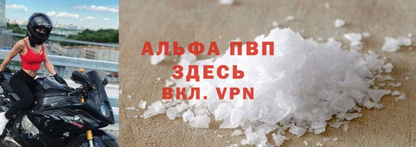 молекула духа Ельня