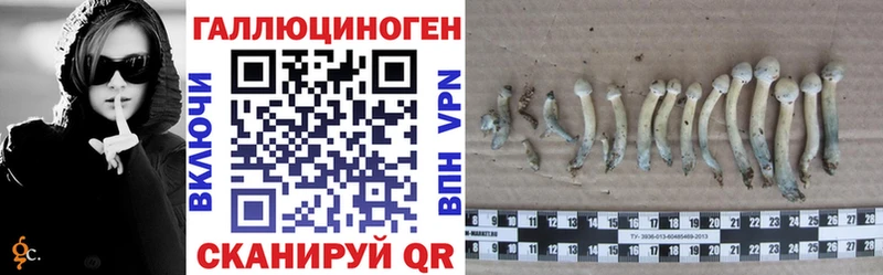Псилоцибиновые грибы MAGIC MUSHROOMS  Западная Двина 